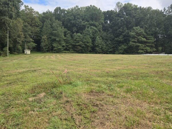 75XX Rabbit Meadow Ln Zebulon NC 27597