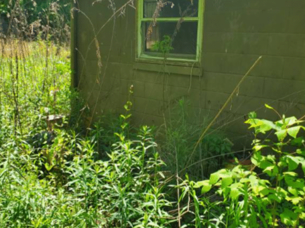 2XX Track Pl SW, Conover, NC 28613