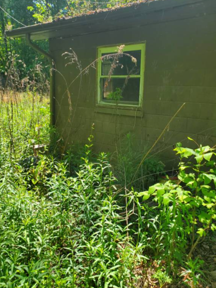 2XX Track Pl SW, Conover, NC 28613