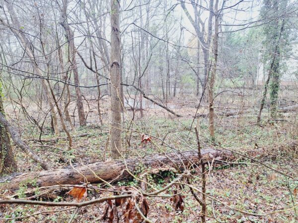 3635 Hobert Rd, High Point, NC 27265